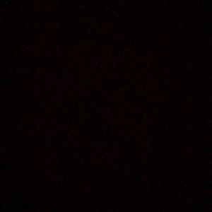 Meet your Posher, Mia